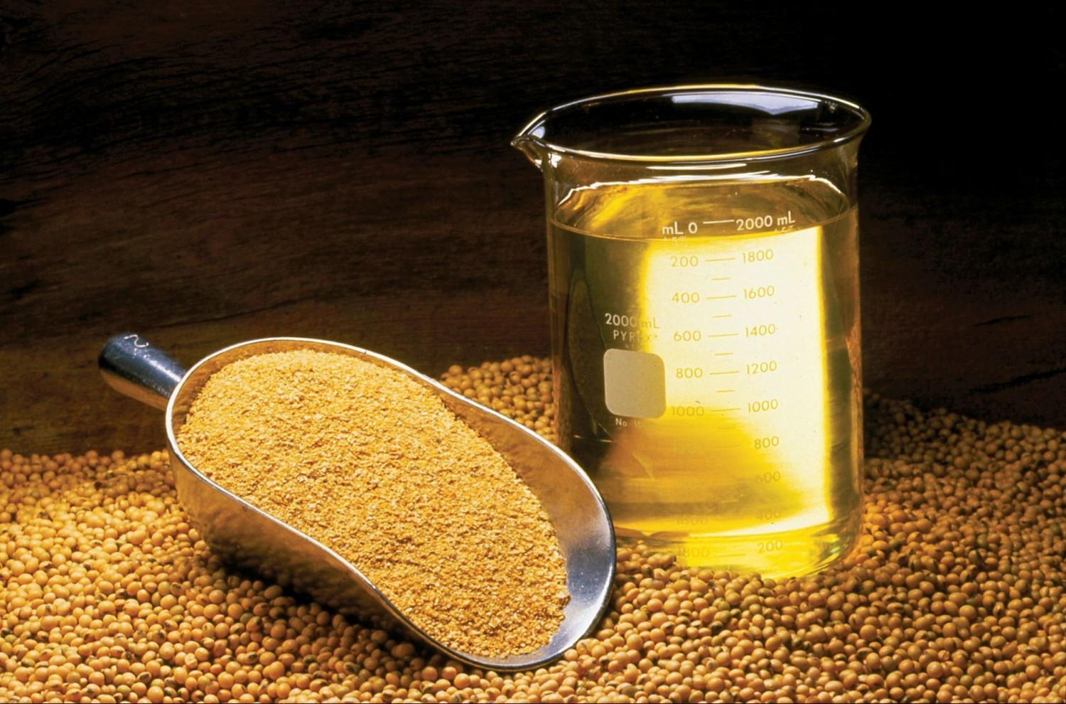 Soybean
